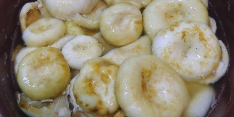 Kako posoliti pečurke za zimu: u teglama, pravila i recepti za soljenje